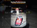 Ranking The Best Animals One Chip Challenge Moments Shorts Onechipchallenge