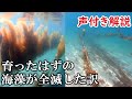 【アカモク育成】砂地で育ったはずの海藻がたった５日で全滅した衝撃の理由【声付き解説】