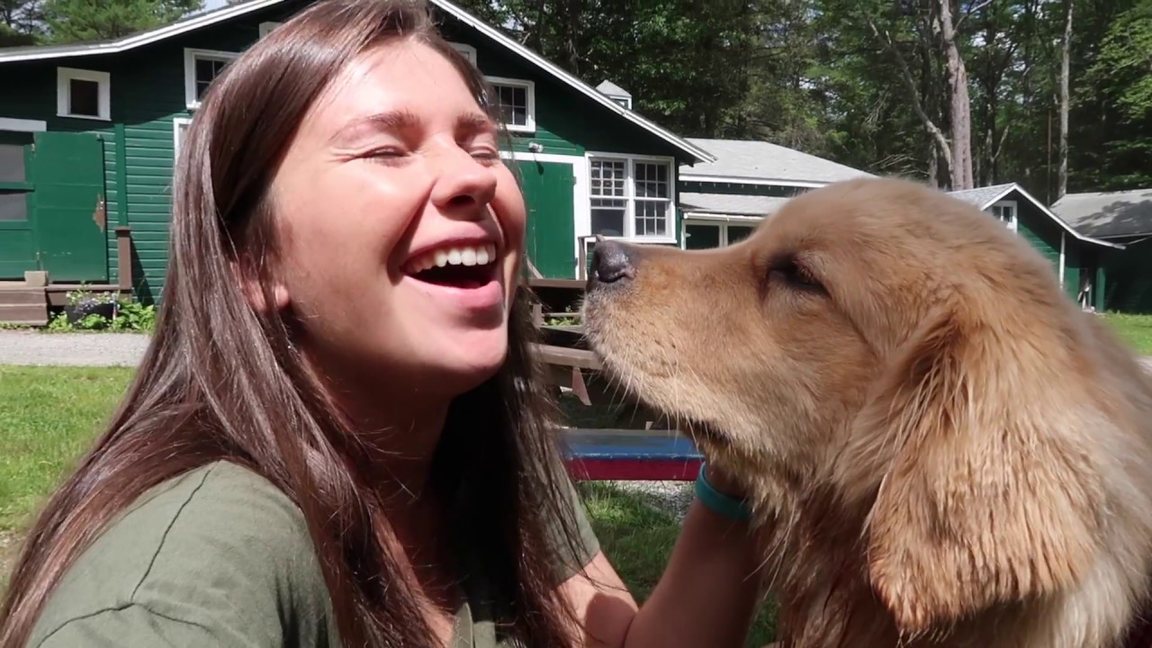 leadership quotes Emma's Camp America Vlog | #2 Staff Orientation