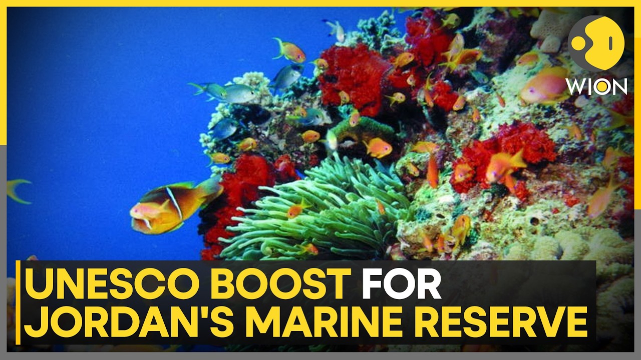 Jordan’s Aqaba Marine Reserve Moves Closer to UNESCO World Heritage Status Jordan’s Aqaba Marine Reserve Moves Closer to UNESCO World Heritage Status