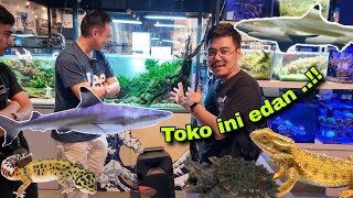 Gila..‼ toko hewan paling lengkap di jakarta selatan || ikan burung reptil kura2 kucing anjing