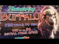 LATE NIGHT NEW THUNDERING BUFFALO Slot Machine Game - LETS GET A BIG WIN BONUS ✅ BBBB