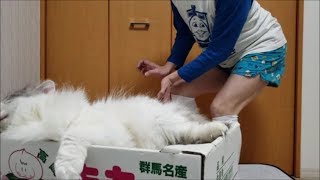タイトルなし