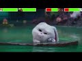 The Secret Life of Pets Sewer Chase with healthbars (Edited by @Gabe Dietrichson )