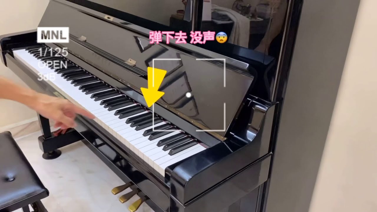 钢琴弹久了一些会常见的问题 【解析视频】