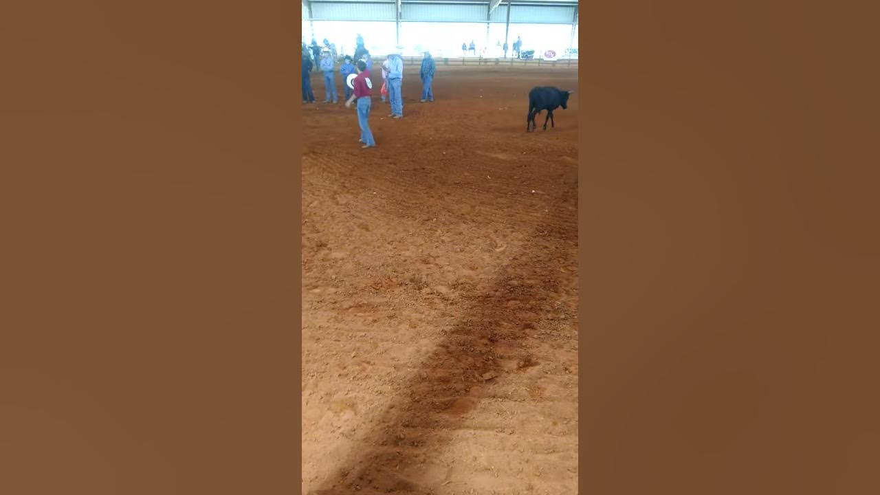 Cade Troy rodeo YouTube