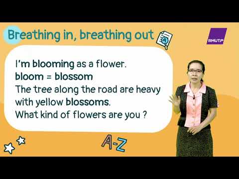 ตอนที่ 3 Learning Through Mindfulness Songs (3)