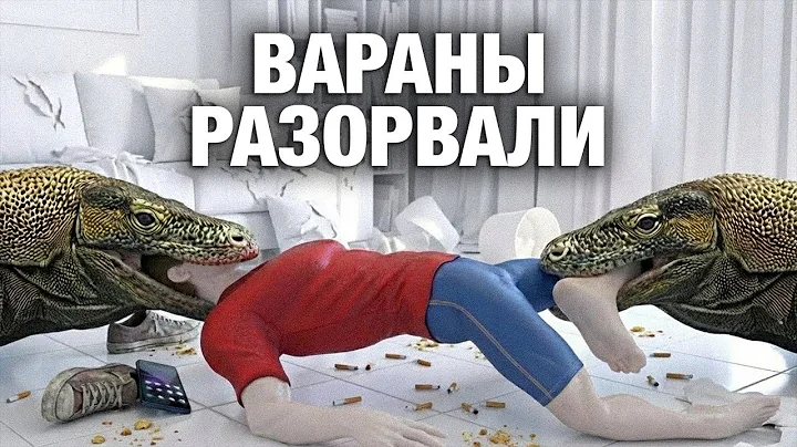 6 смертей, которых можно было избежать: дикие животные, домашняя любовь и одна ошибка