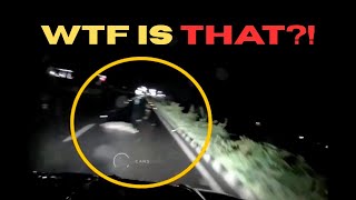 ROADKILL NEARLY CAUSES HUGE ACCIDENT