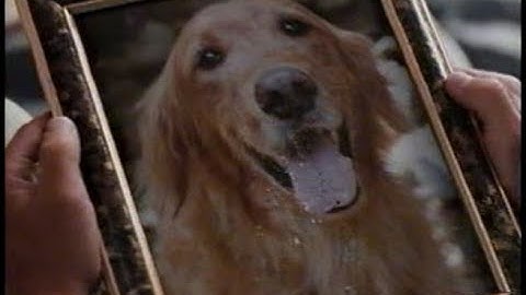 (面白吹替) 映画「ローデッド・ウェポン1」 (1993)吉本新喜劇のタレントによる関西弁バージョン 面白シーン　その2