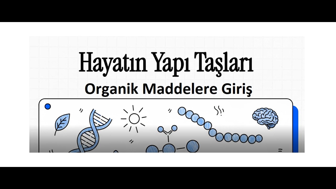 9. Sınıf Biyoloji | Maarif Modeli | Organik Maddelere Giriş