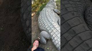 Would you do this!!!