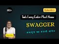 Swagger for REST API in Marathi | Why Developer Needs Swagger | Tools Every Coder Must Know EP05