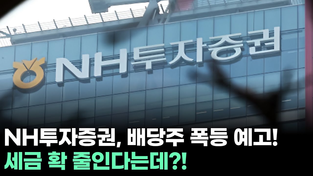 NH투자증권, 왜 사야 할까? 최충성 전문가의 추천 이유, 주가 전망, 목표가를 확인하고 투자 전력에 활용하세요! | 리틀비프로젝트