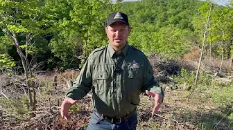 Habitat Hints: Glade Restoration