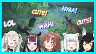 Hololive Reacts To Cute Cat Interactions In Stray #1【STRAY/Hololive】