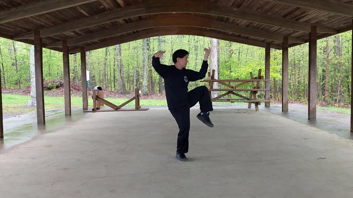 Cheng Ming Tai Chi 1-14