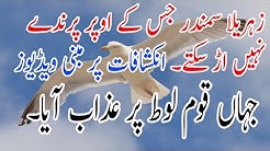 History of Dead sea Documentary||Bahira e Murdar in urdu hindi Malomati point