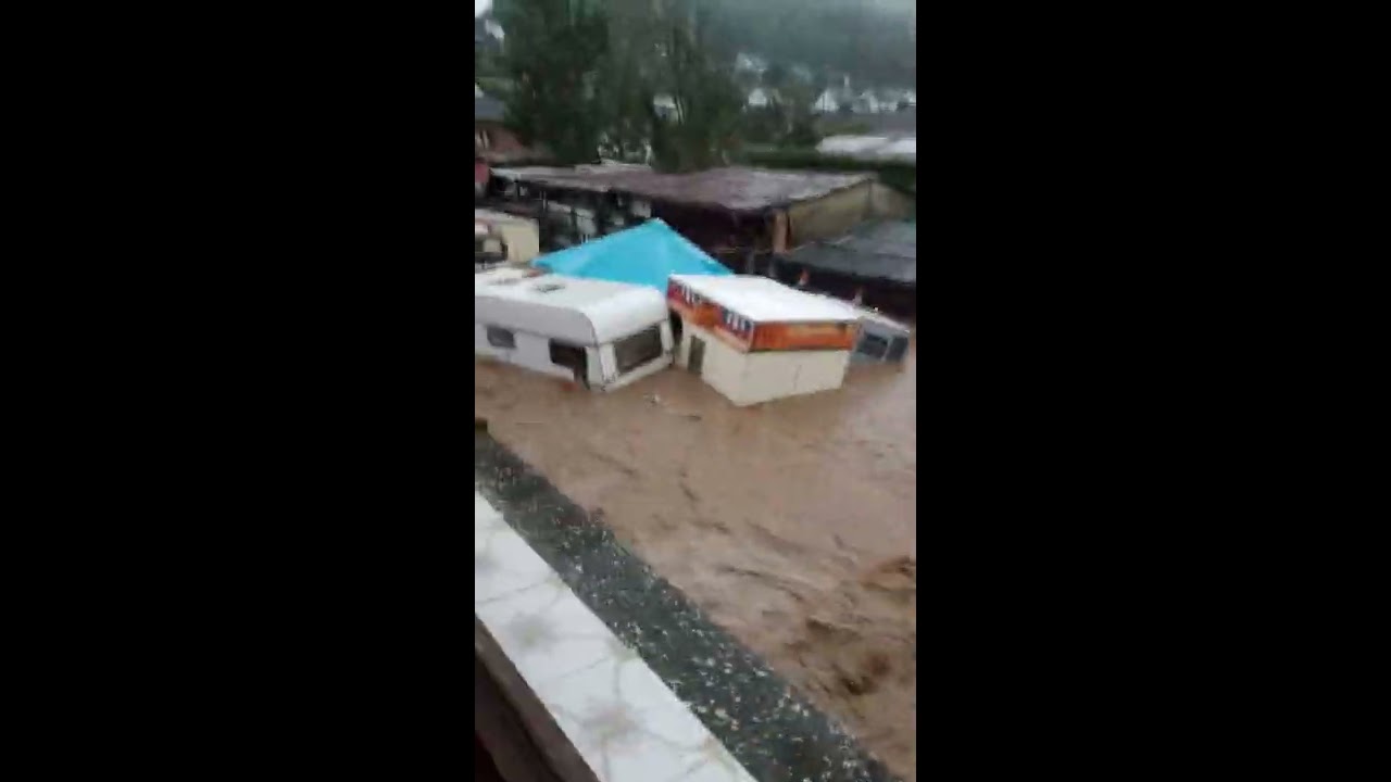 HOCHWASSER IN DER TÜRKEI: Tierschützer bringen Hunde aus überfluteten Zwingern in Sicherheit