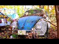 1964 VW Beetle Found & Rescued | " PANAMA " | Volkswagen Bug Revival : P1