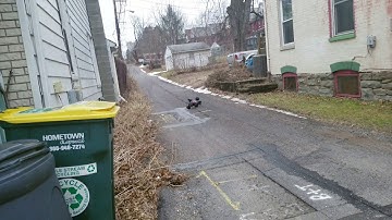 Traxxas Rustler 4x4 VXL Rear Diff Explosion!!!