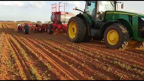 Rovic Syncroplant® in action!