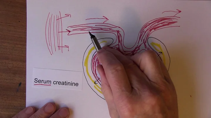 Kidney Disease, Estimated Glomerular Filtration Rate