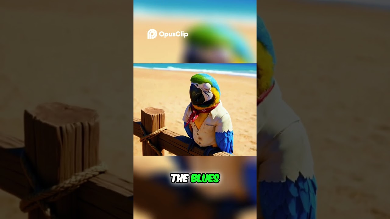 This Blues Song Has a Secret Brazilian Heart 🇧🇷❤️ | Joe Docks