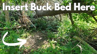 Man-Made Deer Bedding- 1 Year Follow-Up