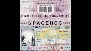 Video thumbnail of "Spacehog - In The Meantime (Instrumental)"