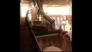 Saiba Mais Sobre A Natufert