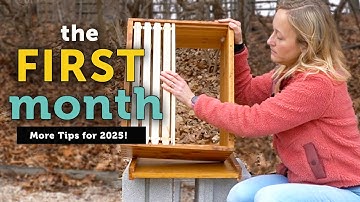 THE FIRST MONTH BEEKEEPING | Feed, Encourage Growth, Transport, Install, Inspect, Varroa & More!