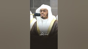 قبس من تلاوة فضيلة الشيخ أ. د ياسر الدوسري بـ ‎المسجد الحرام ⁧من ليلة 5 ‎رمضان 1445هـ