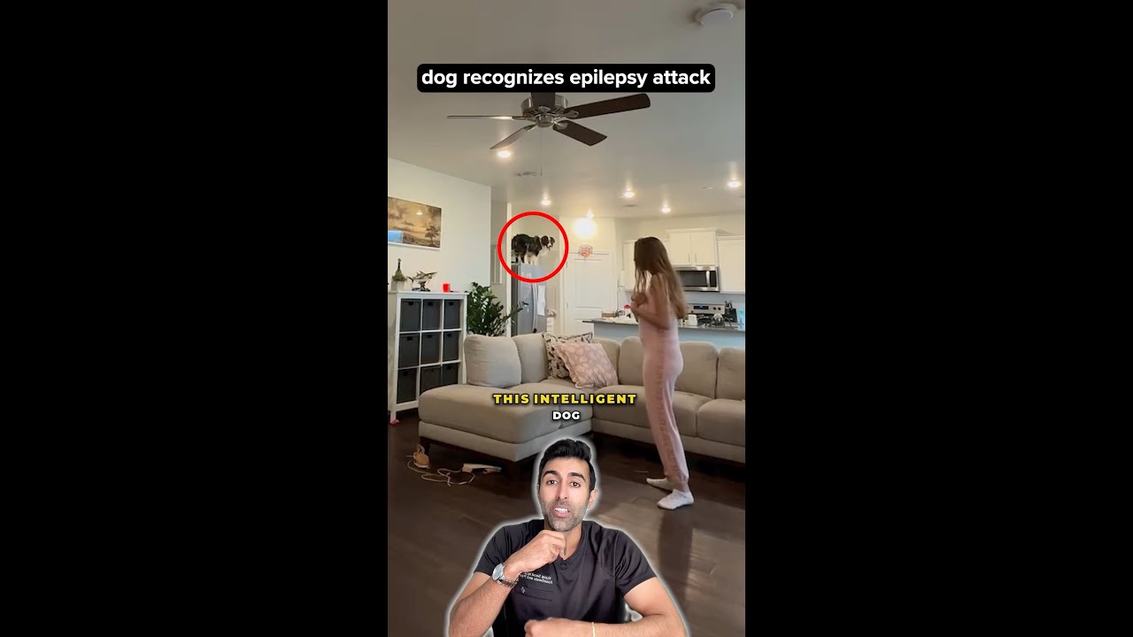 What a Grand Mal Seizure Looks Like