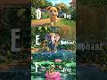 A to Z alphabet for kids | D, E , F | #abcanimals #kidslearning #kidsvideo #hindirhymes