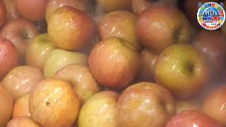 PECTINASE ENZYME APPLICATIONS IN EVERYDAY USE