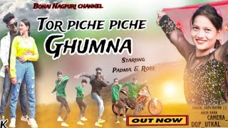 Tor piche piche ghumna //nagpuri dance video// Padma And Rosebaby // 4k Full video