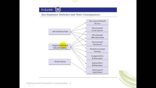 BEHAVIOURAL FRAMEWORK - VIDEO 1