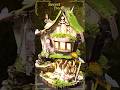Rowan's Treehouse #diyminiature #treehouse #miniature #craft