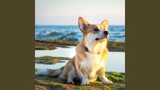 Wagging Tails by Stream