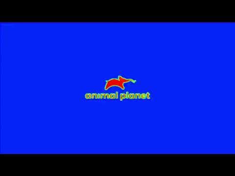 Заставка Animal planet С Эффектами N°1 Screensaver Animal planet With Effects N°1