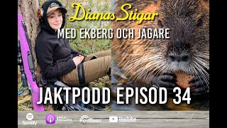 På Dianas Stigar Med Ekberg Och Jägare - Episod 34 Bäverspecial