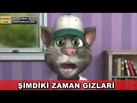 Şu Zaman Kızları