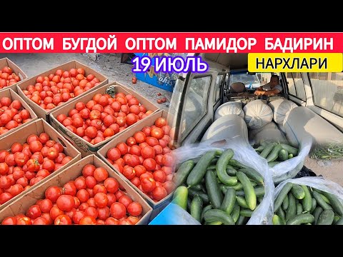 ОПТОМ БУГДОЙ ОПТОМ🍅 ПАМИДОР 🥒БАДИРИН НАРХИ ХОРАЗМ ХАЗОРАСП БОЗОРИ 19 ИЮЛЬ 2025-ЙИЛ !!! ХОРАЗМ ОБЗОР