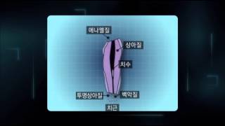 원더풀 사이언스 - Wonderful Science_흔적의 재구성, 과학수사_20080424_#001