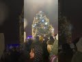 #schorts#Kraslice #Vánoční strom#Rozsvícení Vánočního  stromu