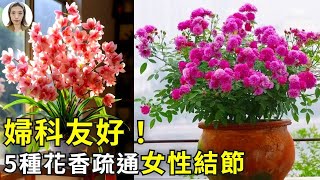 限量版5種防病花，遠離瘙癢和結節，滋養女人，即時呵護身心健康！|花花世界