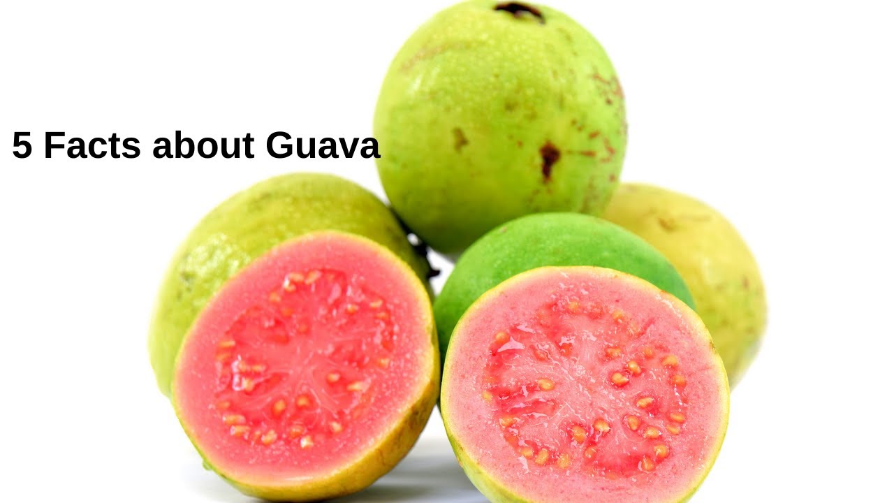 5 Facts about Guava | 5 Facts Hub