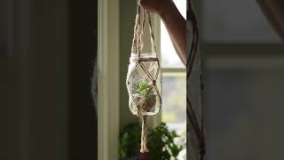 Don't Throw Away Your Jars! Try This Amazing Hack.