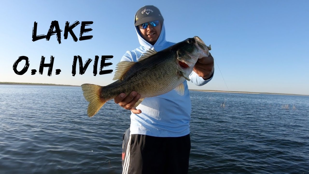 Lake O H Ivie Bass Fishing Biggin s Landed On C rigs YouTube Lake O H Ivie Bass Fishing Biggin s Landed On C rigs YouTube